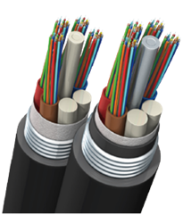 Cable, Fiber Optic, Taihan, 12-Fiber Loose Tube All Dry Single Jacket Single Armor TICI-SS-012-I1-13-PP-N0-A-Z2 