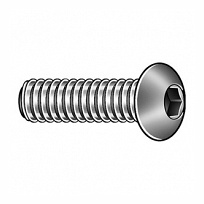 Bolt, HHCS Stainless Steel, 1/4-20 x 3/4" 