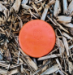 Rhino 400 Series SoilMarkers™ - 00009