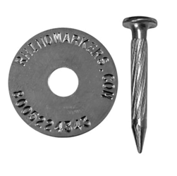  Rhino MAGNAIL with Washer 