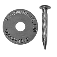  Rhino MAGNAIL with Washer 