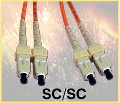 Jumper, Multimode, 50-Micron, Duplex, 2MM Jacket, SCSC, 2.0 Meter